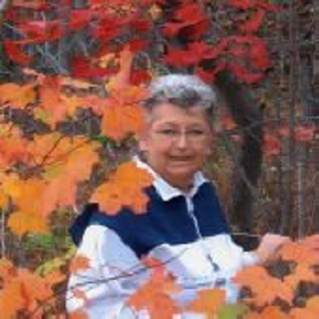 Sherry Pelica Profile Photo