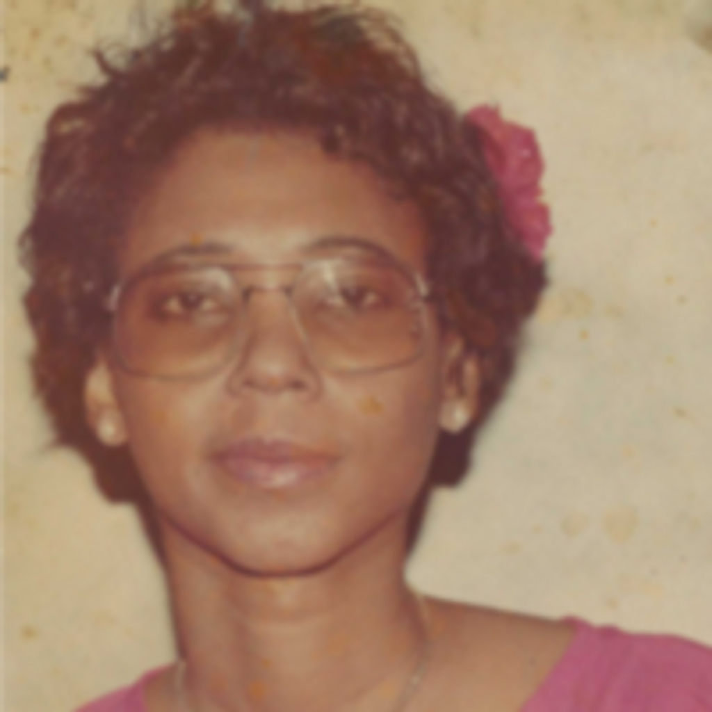 Mary Lee Banner Johnson
