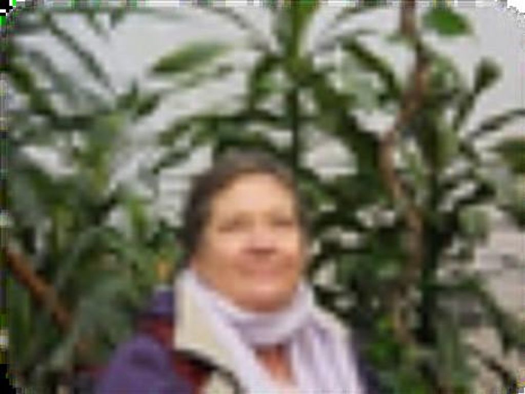 Patti Finn Profile Photo