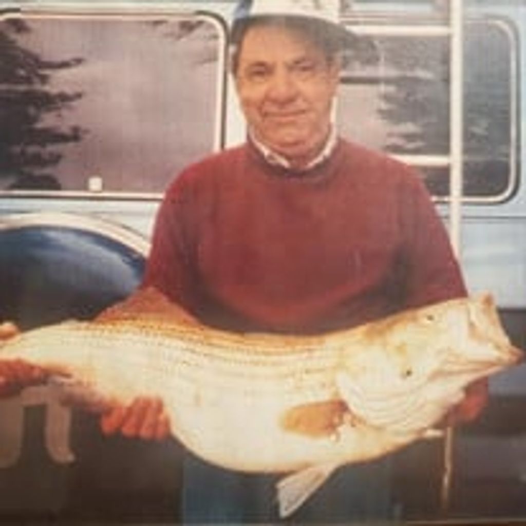 John Robert Stech