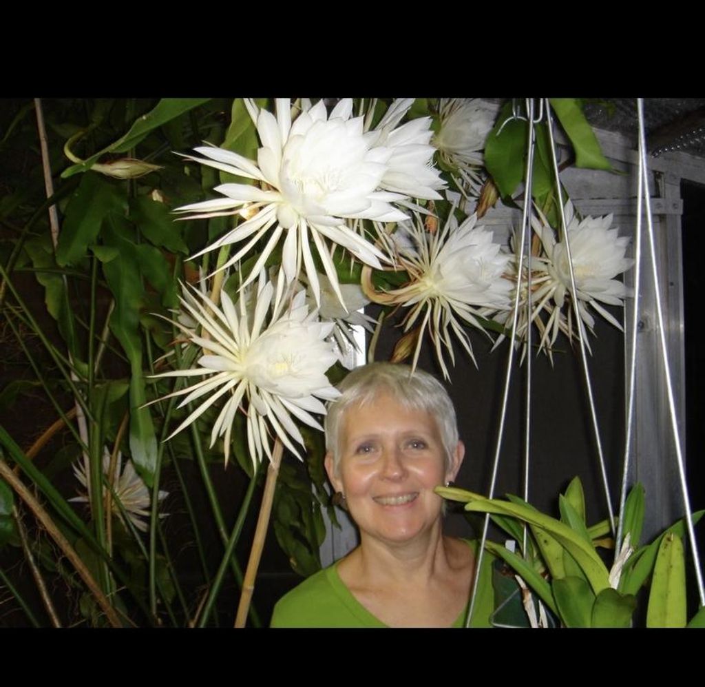 Susan Mccurdy Yonkers Profile Photo