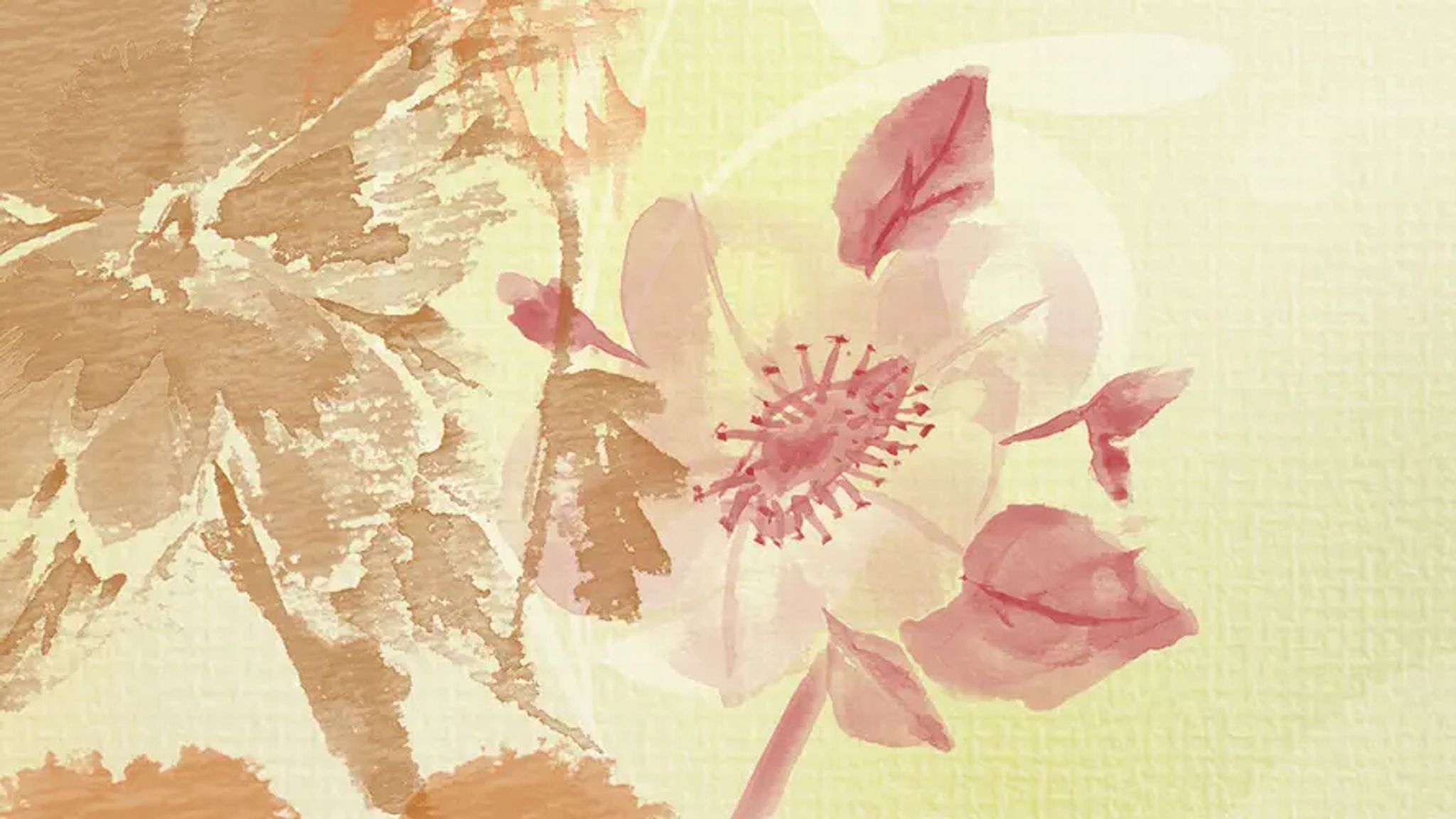 Cover for Christine Marie Breitbach's Obituary