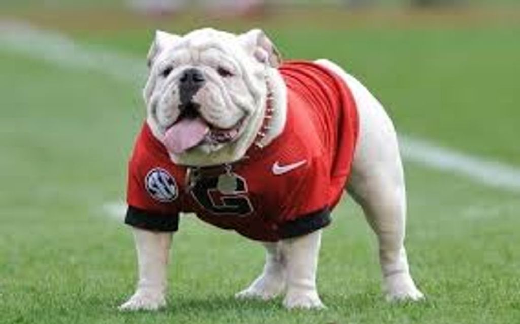 Gary Bowles Profile Photo