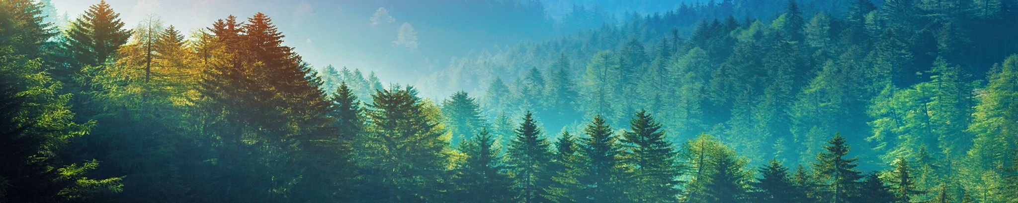 Cover for John F. Quinto, Jr.'s Obituary