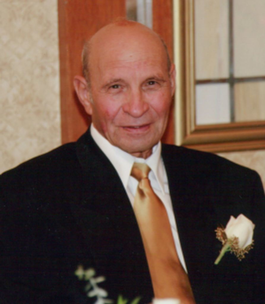 Vincenzo D'Anna