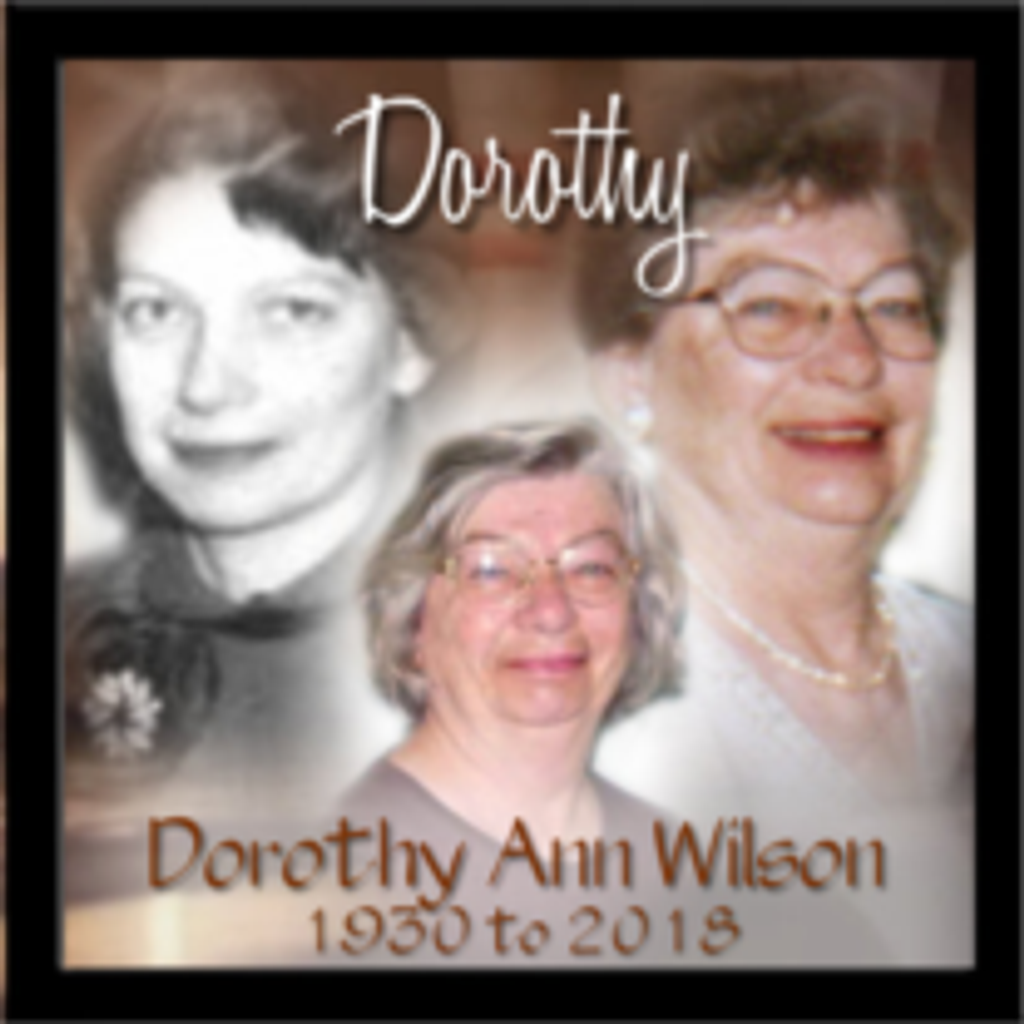 Dorothy Ann Wilson