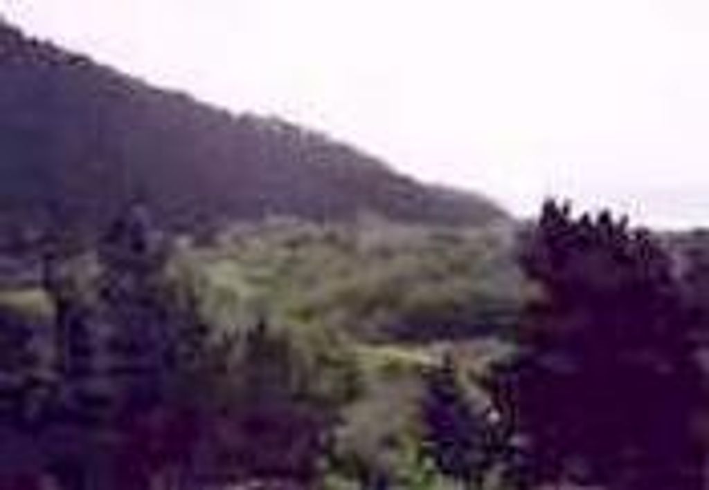 Dennis Ray Starkey Profile Photo