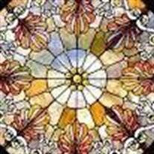 Lisa Lee Meyer Profile Photo