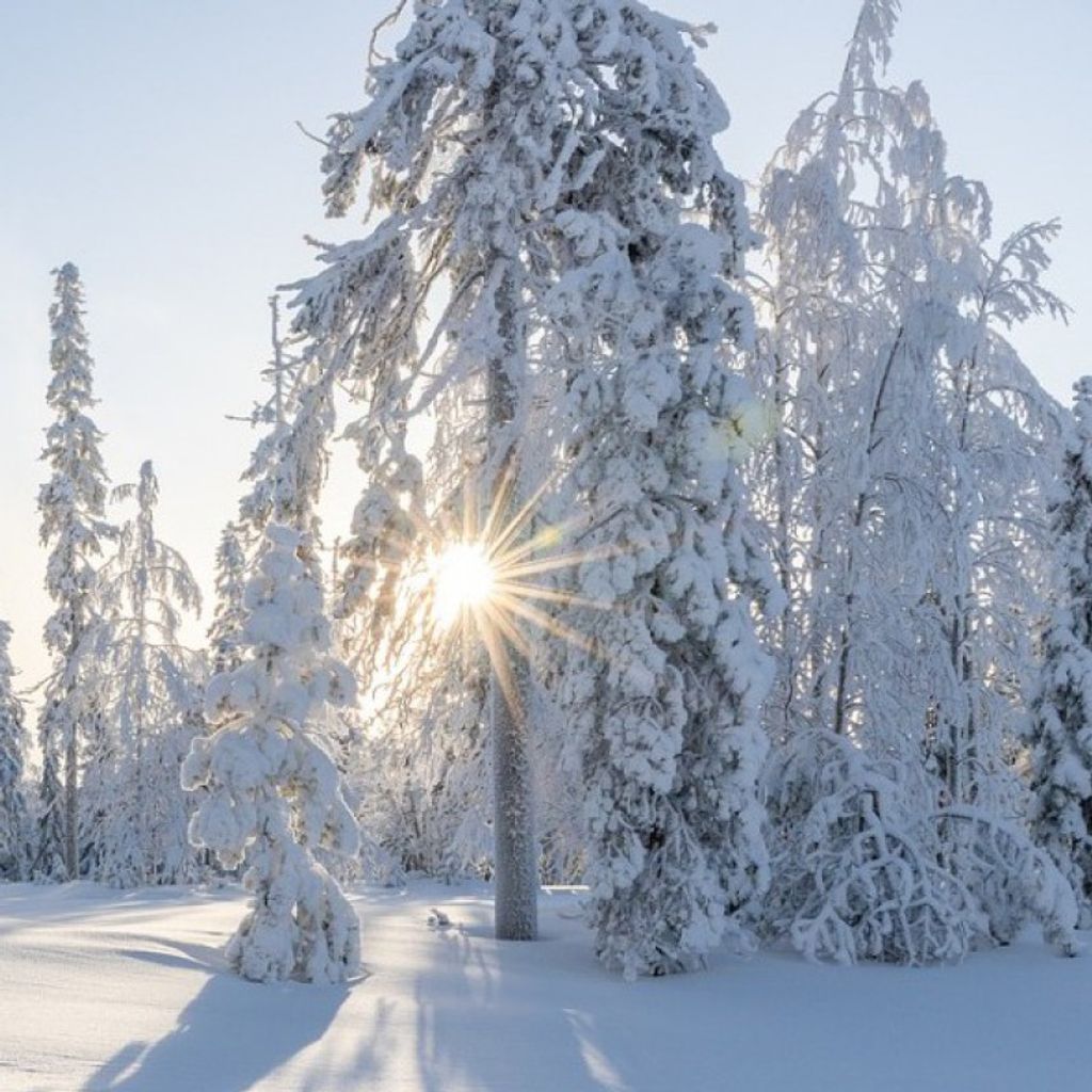 Timothy Francis Slowik Profile Photo