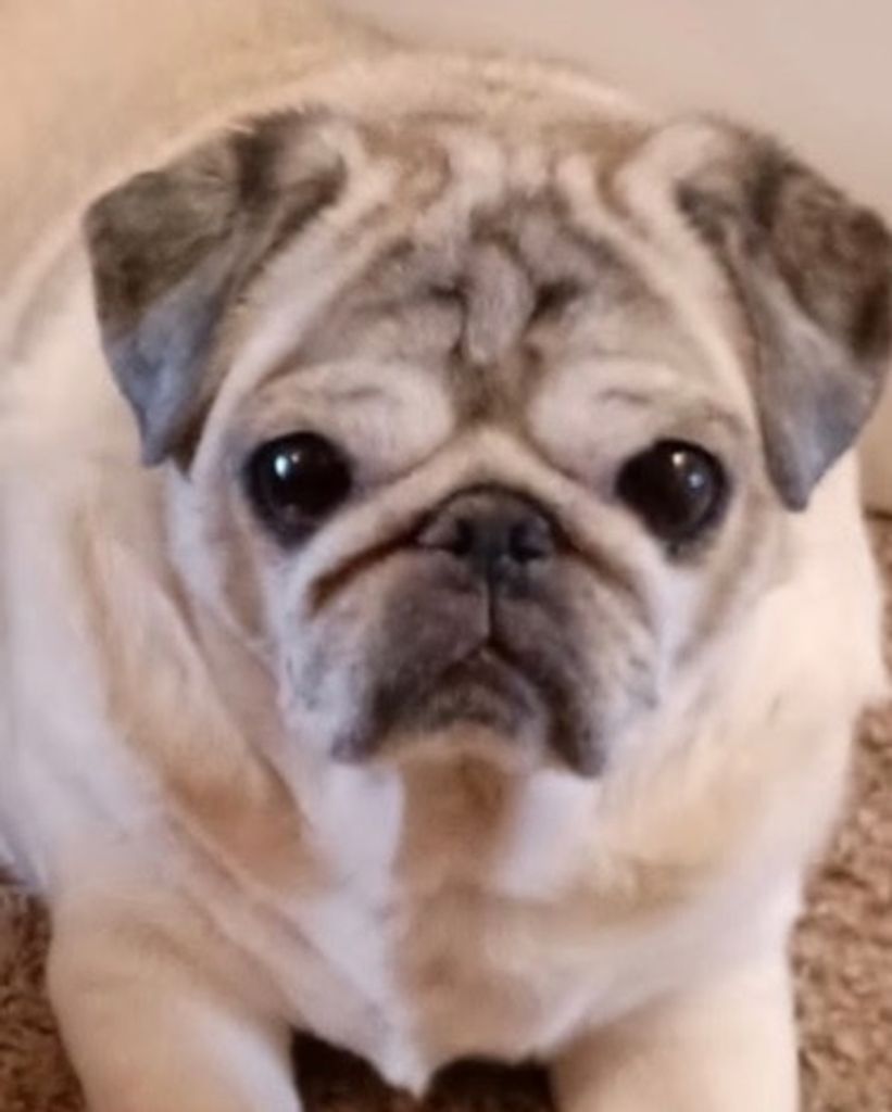 Gracie Marie