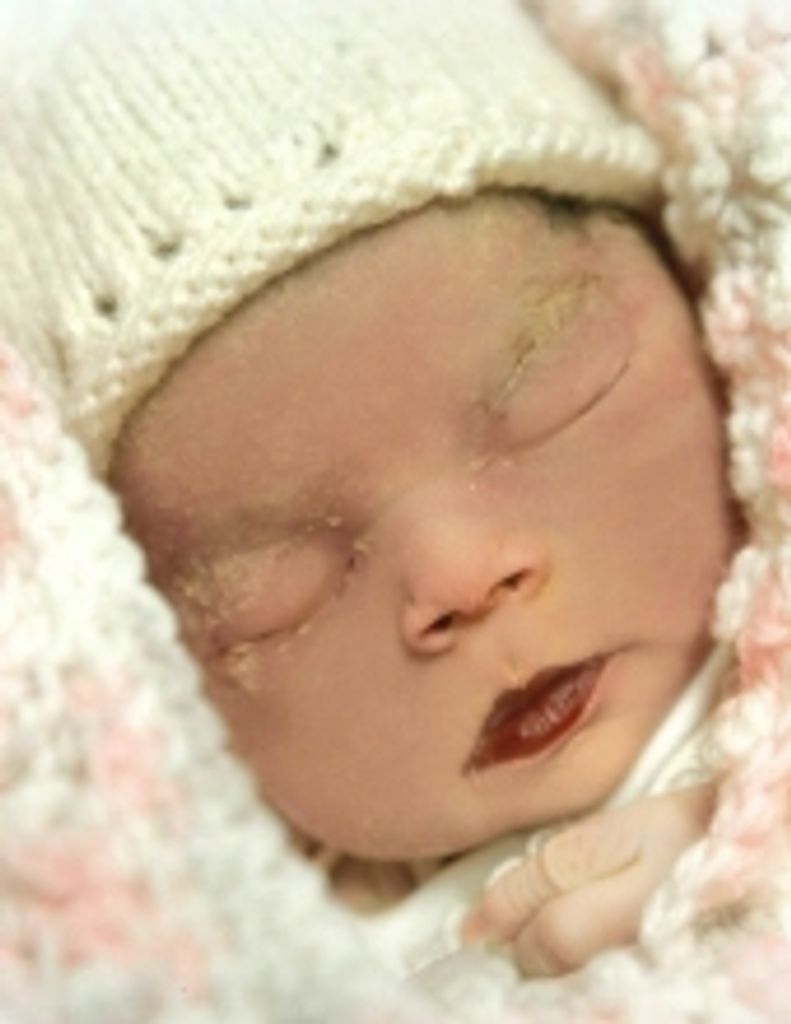 Sophia Briella Linda Fields Profile Photo