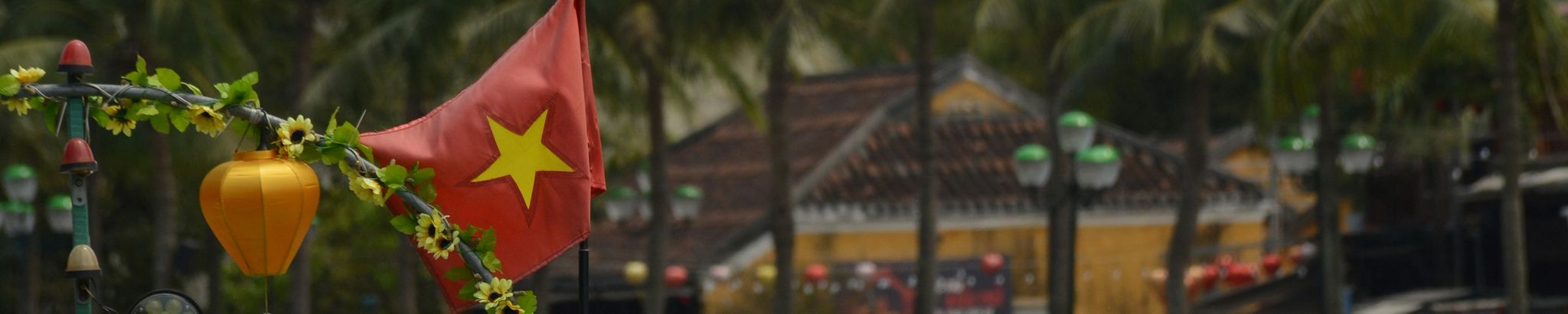 Cover for Hai Nguyen's Obituary