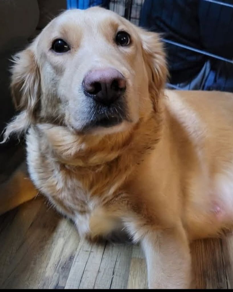 Areia Caudill Profile Photo