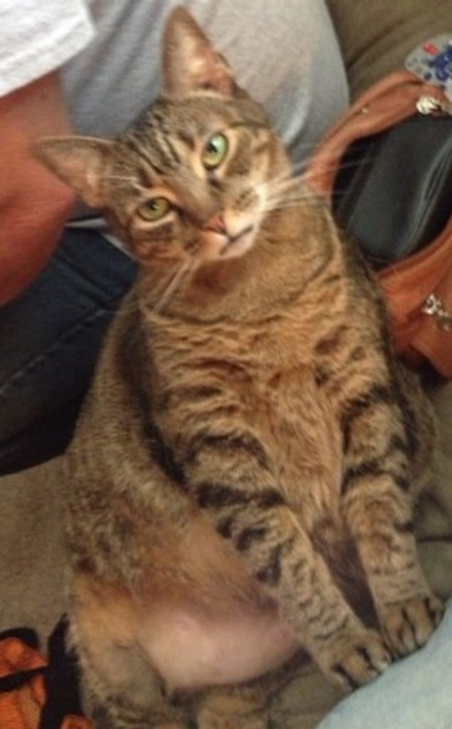 Mau Murray Profile Photo