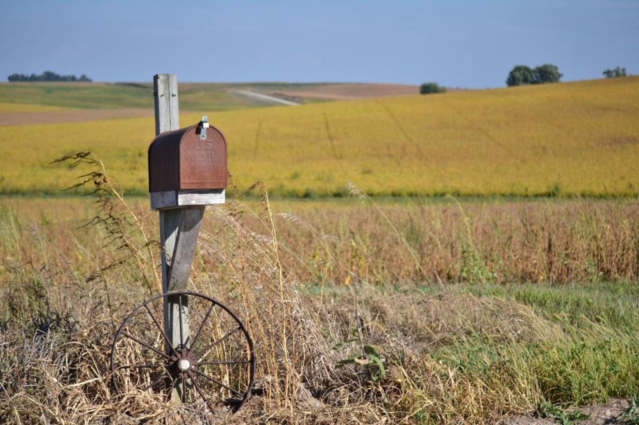 Cover for Paul E. Schiedel's Obituary