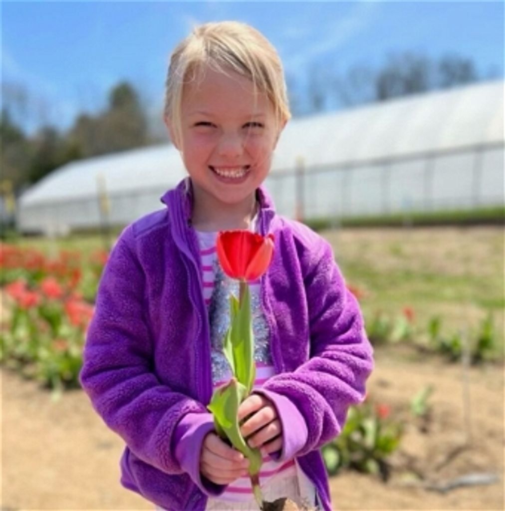Lane Elizabeth Ladd Profile Photo