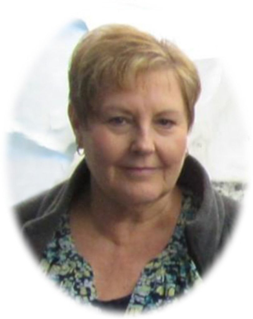 Karin Shaull Profile Photo
