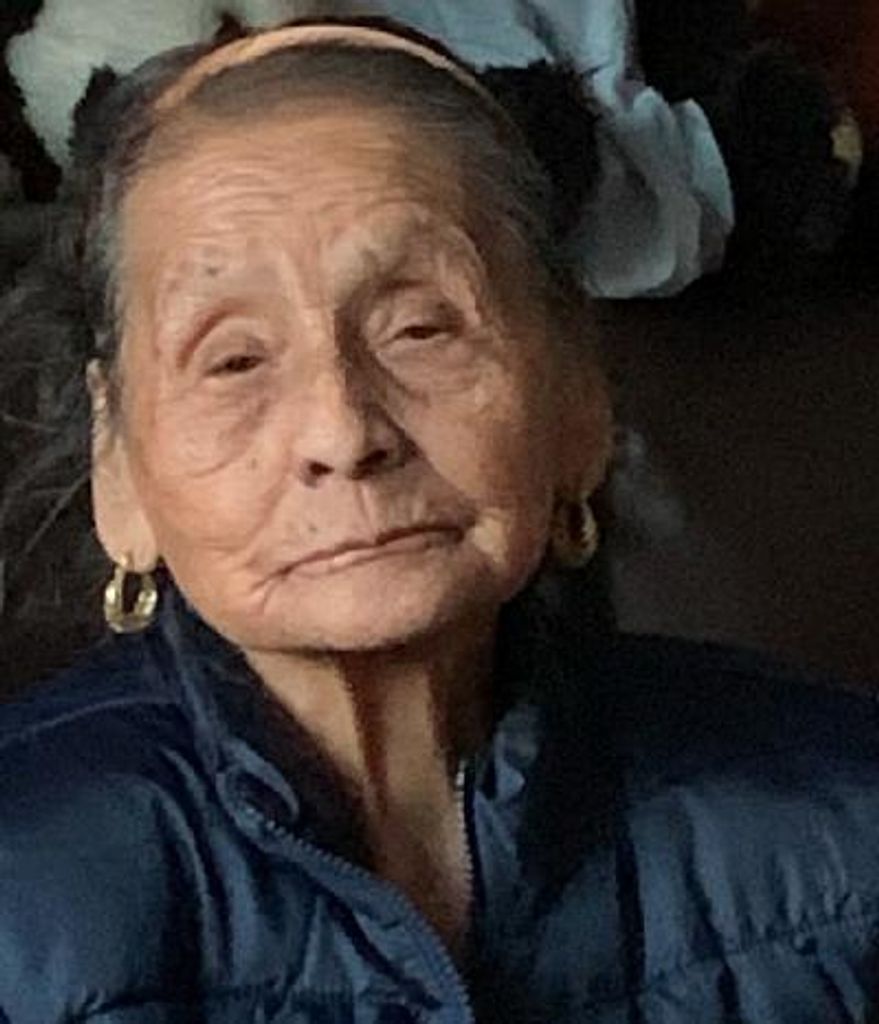 Vicenta Lemus Garcia