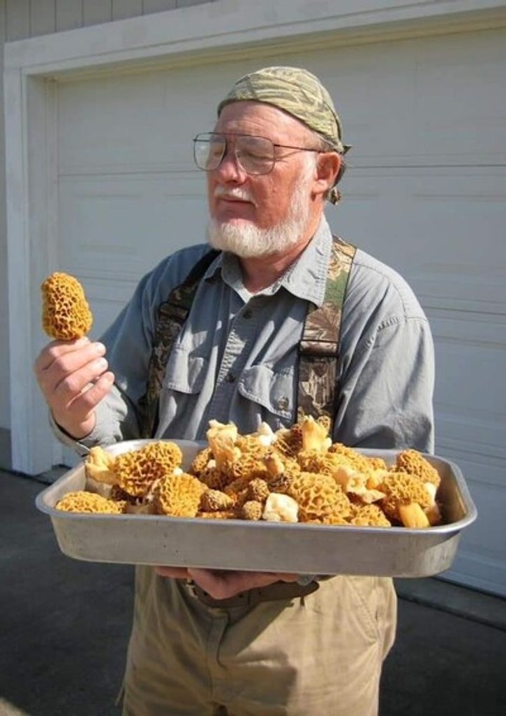 Stanley Lewis Wheat Profile Photo