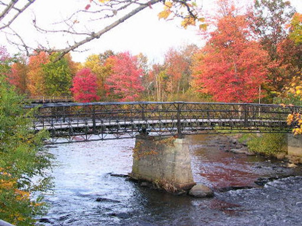 Ronnie R. Robertson Profile Photo