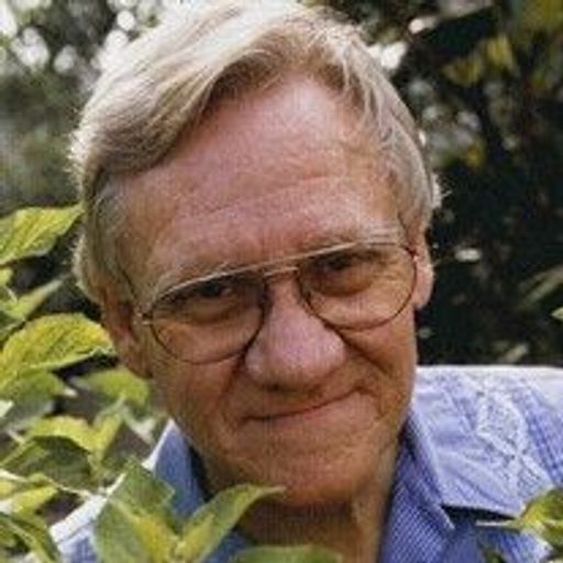 Daniel Austin Profile Photo