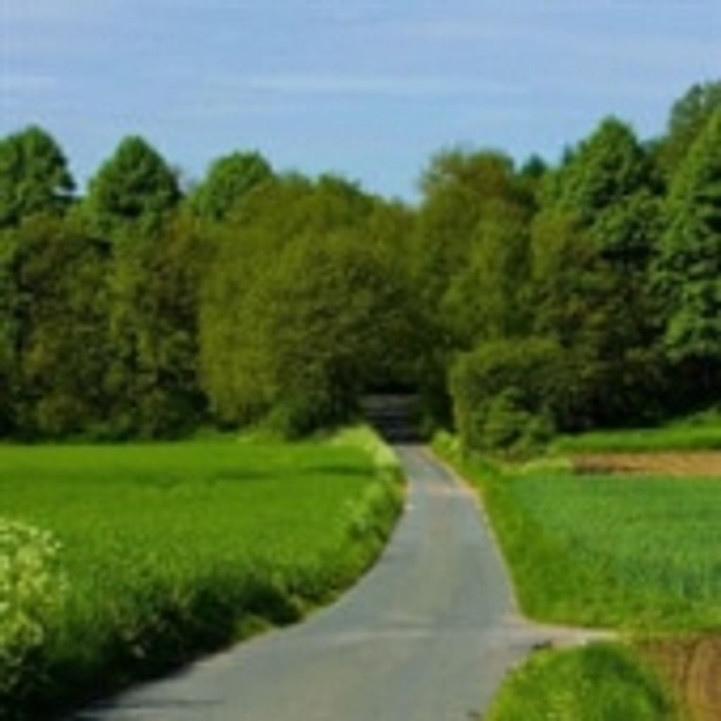 Thomas Eugene Underwood