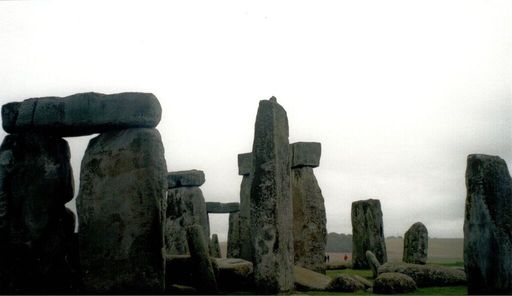 Patricia Sweeney photo gallery thumbnail 19 of 29