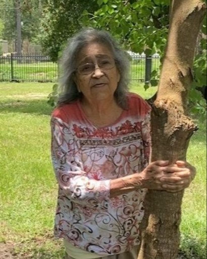 Virginia Tovar Salas