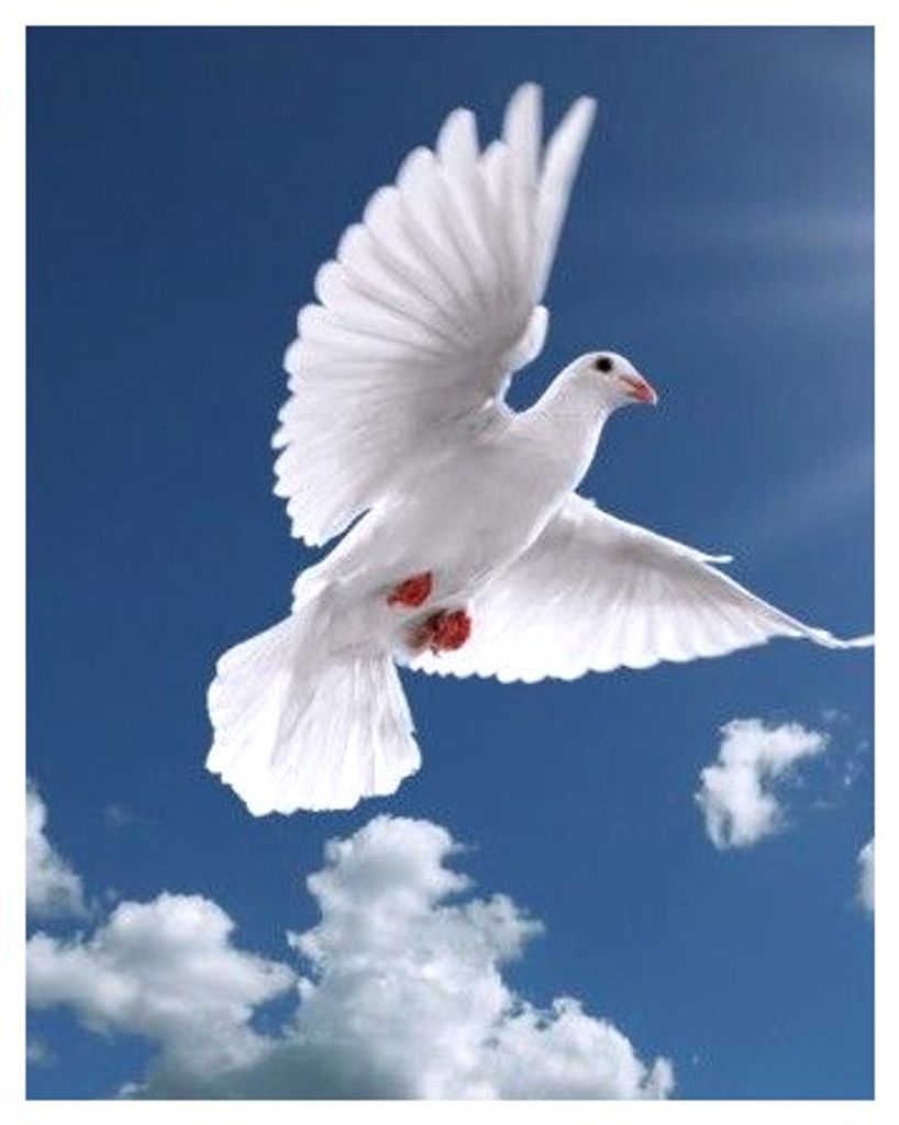 Benjy Anderson Profile Photo