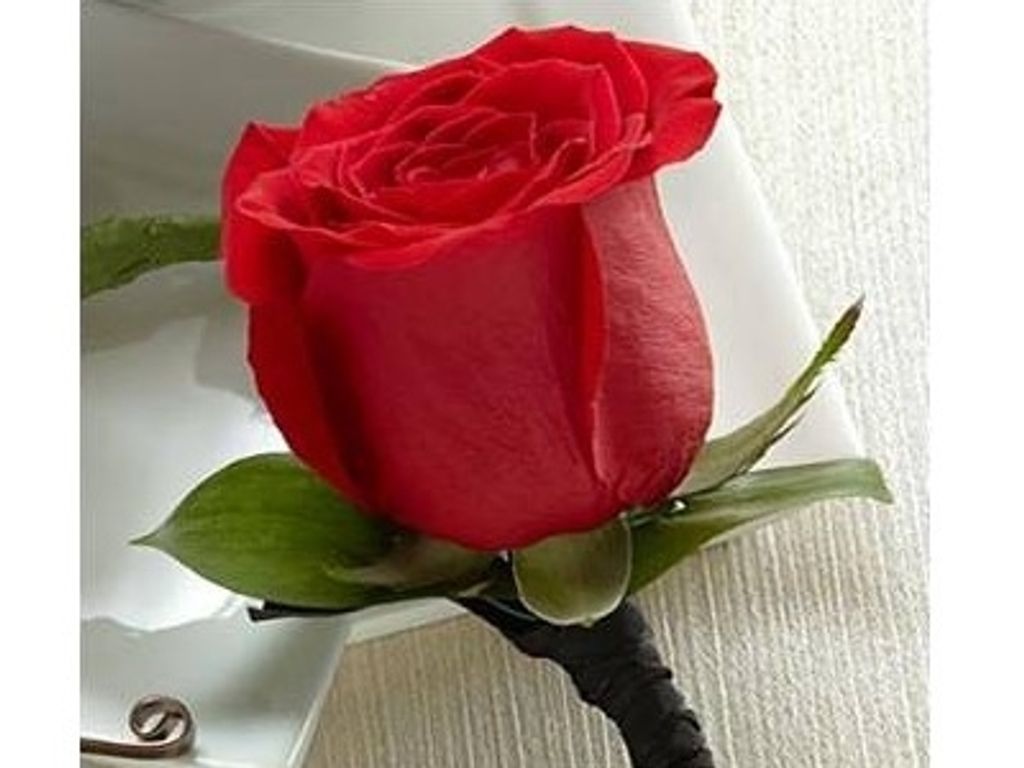 Shirley Ellen Johnson ((Smith) (Willis) Profile Photo