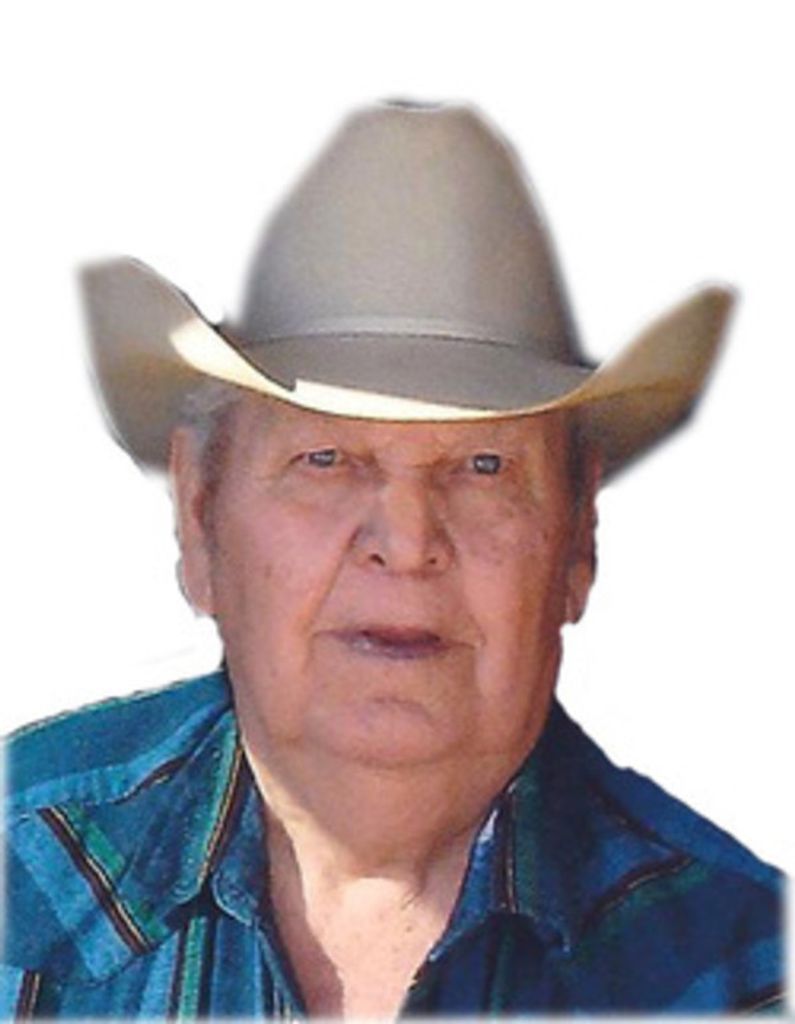 Joel Harvey Weber Profile Photo