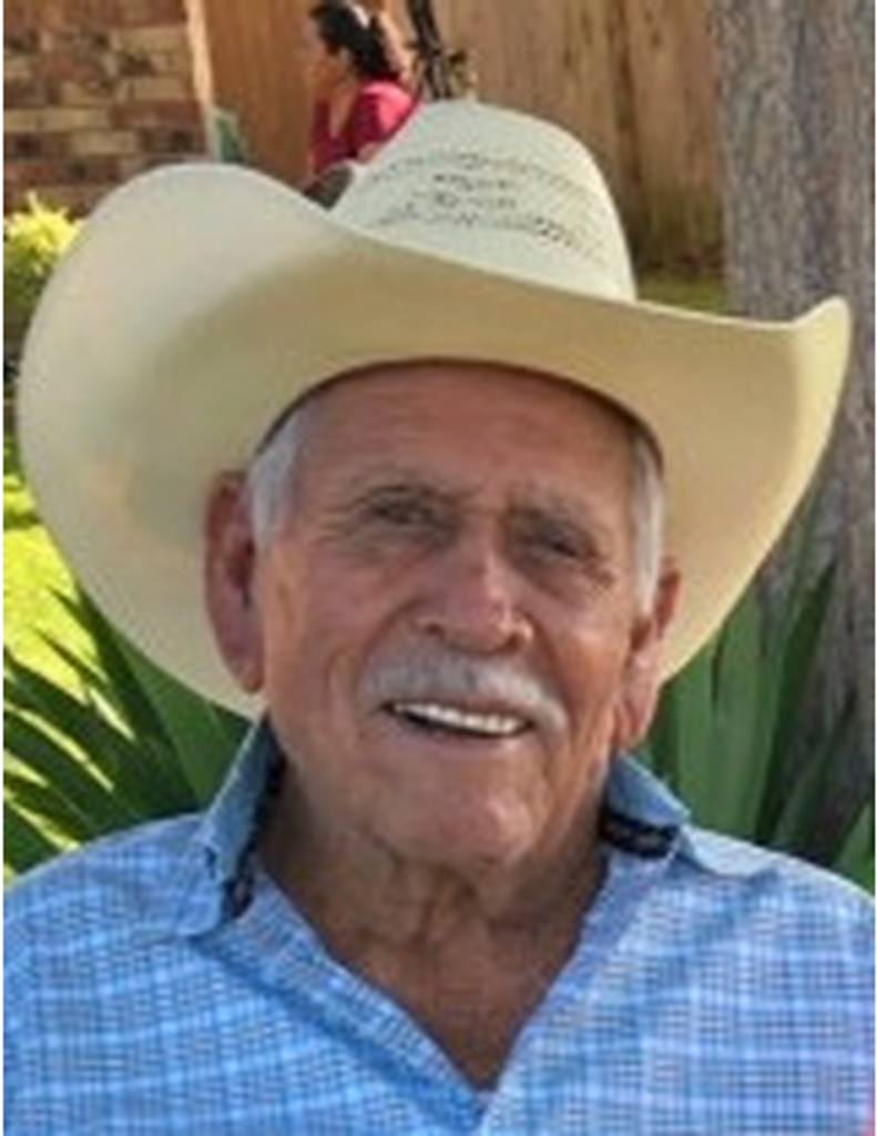 Jesus Villegas Nava