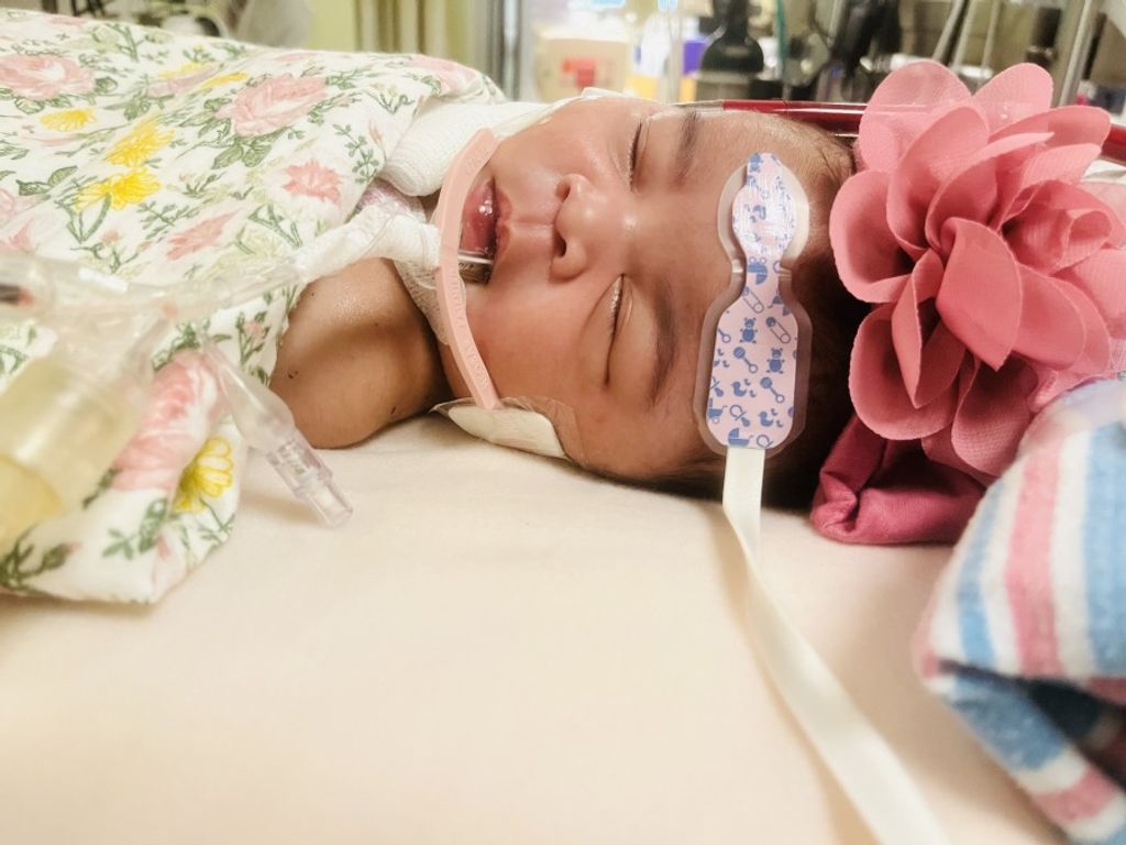 Chevelle Journey Wynn Profile Photo