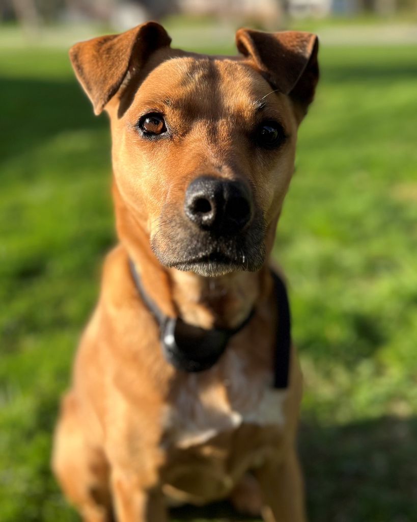 Memphis Beattie Profile Photo