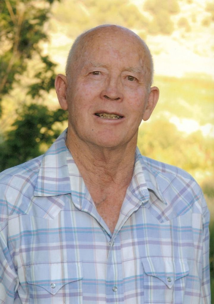Lewis Frost Wiser