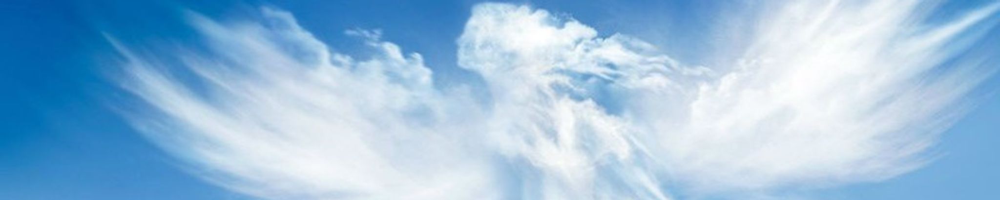 Cover photo for Joyce Ann Coleman's Obituary