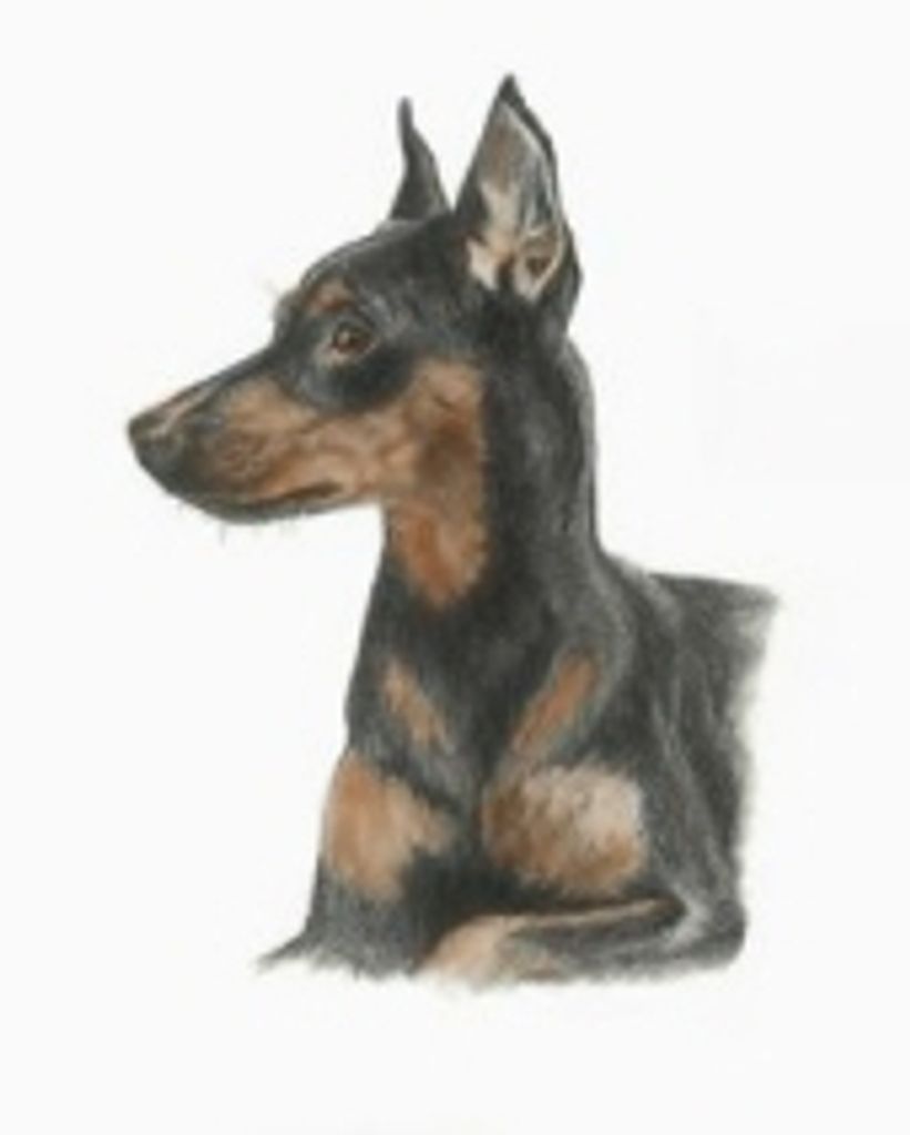 Annie Lloyd Profile Photo