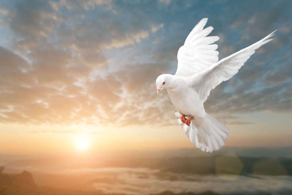 Lanora A. Ransom Profile Photo