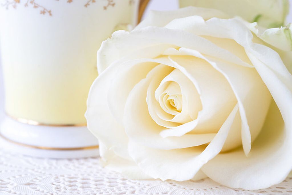 Cover photo for Jaiden " Jay" Marriot's Obituary