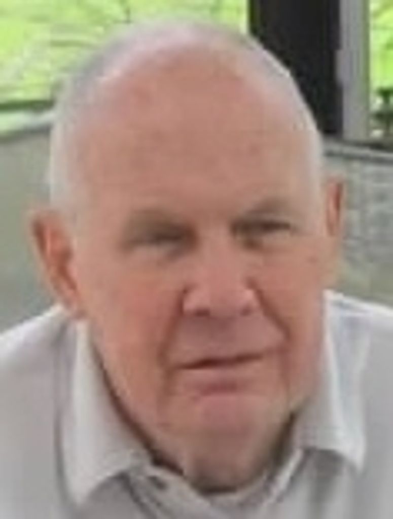 Jr. Walter Louis Henry