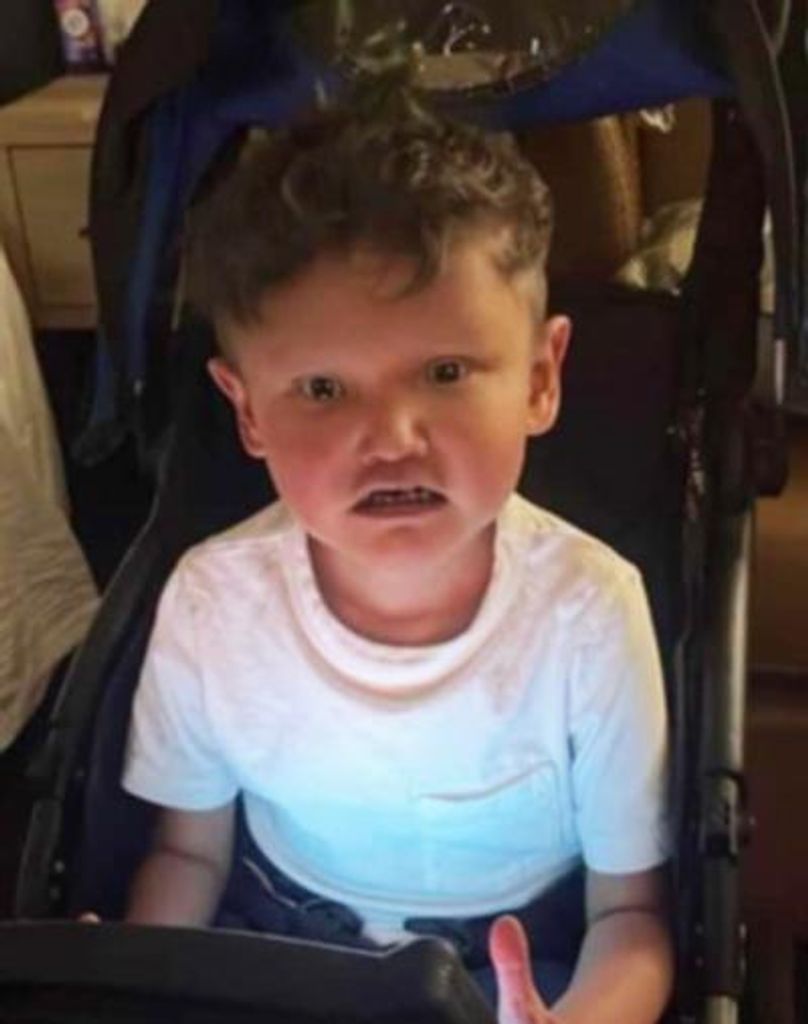 Kayden Junior Turtle