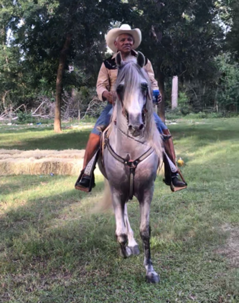 Francisco Galindo Sr. Profile Photo