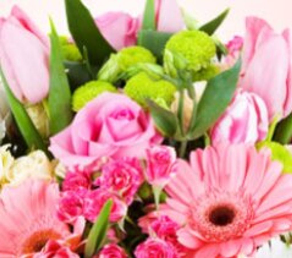 Katherine Drouillard