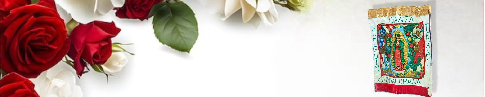 Cover photo for Teresa "Tere" Menchaca's Obituary
