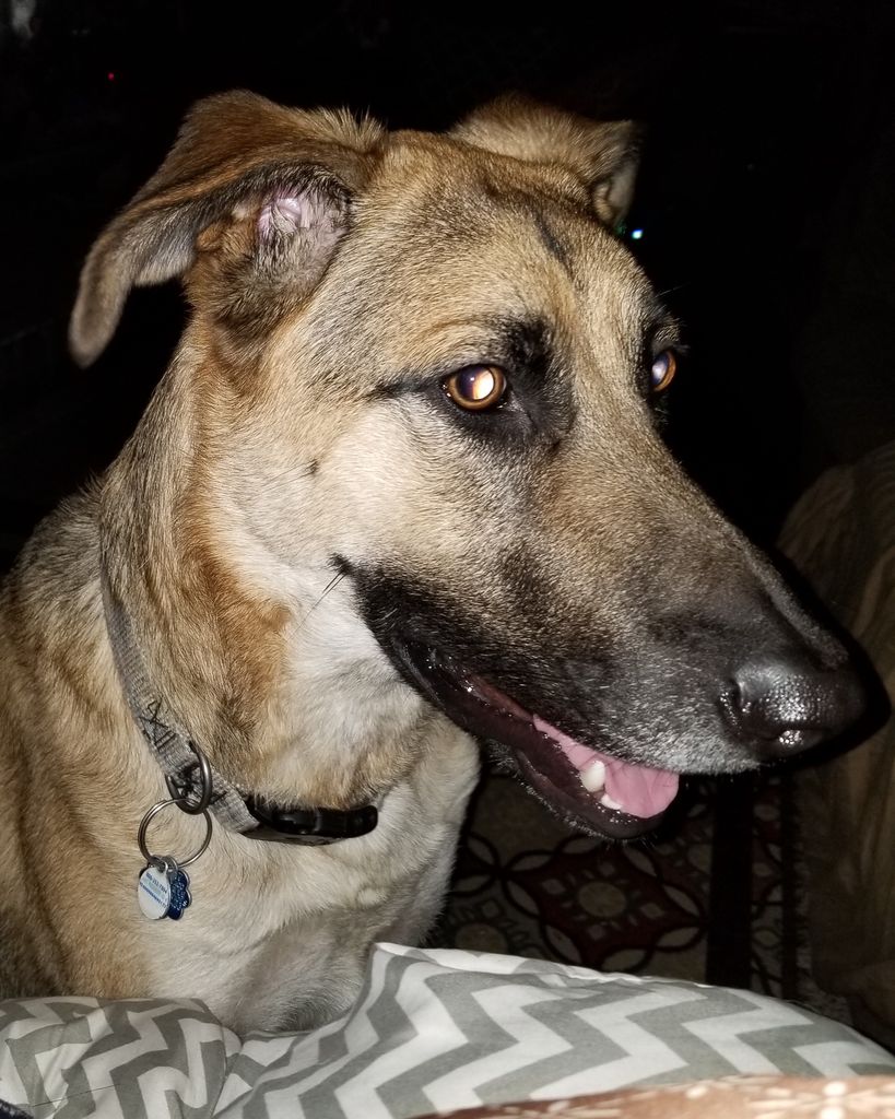 Luna Belle Hamilton Profile Photo