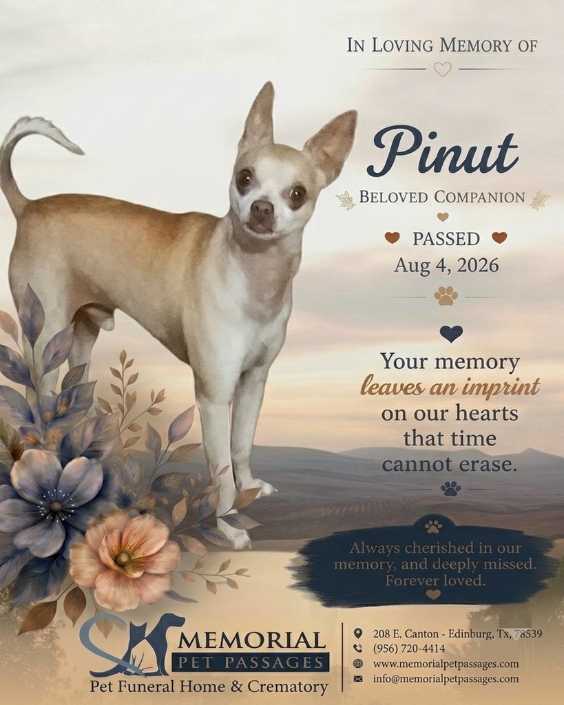 Pinut Profile Photo