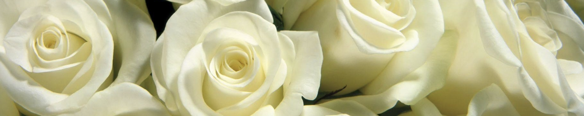 Cover photo for Jamin Landreth-Juarez  & Sebastian Ezra Lopez Juarez's Obituary