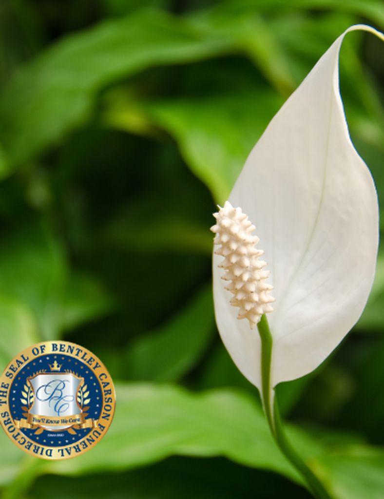 Mr. Jeffrey Patterson