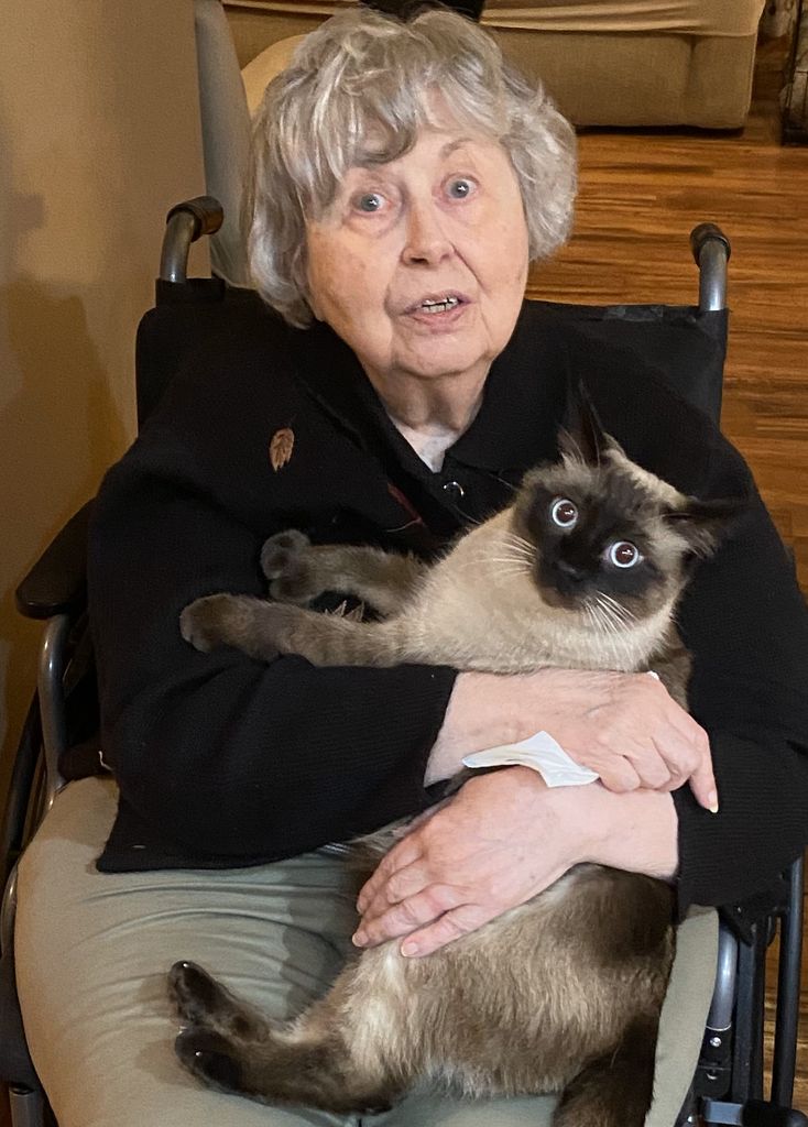Madeleine L. Mcdonald Profile Photo