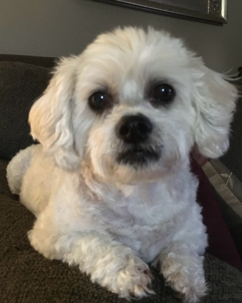 Bailey Napier Profile Photo